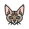 devon rex cat cute pet color icon vector illustration