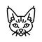 devon rex cat cute pet line icon vector illustration