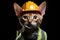 Devon Rex Cat Dressed As A Builder On Black Background