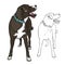 A devoted dog looks at the owner. Dog with collar. Vector illustration