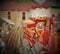 Devotion and Faith - Himachali Old Man during Shivratri Fair
