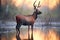 dew-covered sable antelope at dawn