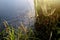 Dew covered spiderweb in meadow early summer morning