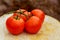 Dew drops on Tomatoes growing in garden