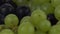 Dew on grapes. Macro shallow focus pan shot