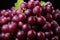 Dew-Kissed Grapes: Juicy Bunch of Grapes Glistening with Moisture - Generative AI