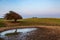 A Dew Pond on Ditchling Beacon