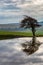 A Dew Pond on Ditchling Beacon