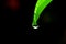 Dewdrop