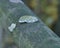 Dewdrop on leaf