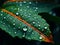Dewdrops leaves. Macro view of droplets on orange color midrib leaf in dark outdoor background. AI generated.
