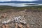 Dezadeash lake, near Haines Junction, in Yukon