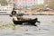 Dhaka, Bangladesh, February 24 2017: View of an old muslim rower on a river in Dhaka