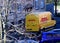 Dhl delivery van delivers during corona virus crisis