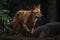 Dhole This wild dog. generative AI