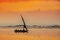 A Dhow fishing boat sailing in an orange sunset on the Indian Ocean near Mombasa, Kenya