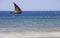 Dhow sailing near the coast on a calm sea