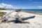 Dhow wreck on the beach