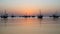 dhows in the shore parked at katara beach in qartar during dhow festival