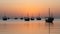 dhows in the shore parked at katara beach in qartar during dhow festival