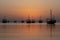 dhows in the shore parked at katara beach in qartar during dhow festival