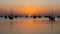 dhows in the shore parked at katara beach in qartar during dhow festival