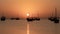 dhows in the shore parked at katara beach in qartar during dhow festival