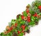 Diagonal band of fresh Christmas holly with pine cones and fir