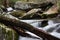 Diagonal deadfall tree log across a flowing creek in fall