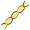 Diagonal dna chain science golden color