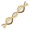 Diagonal dna chain science golden color