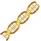 Diagonal dna chain science golden color