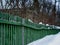 Diagonal green fence perspective