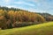 Diagonal Landscape of Meadow, Trees and Sky