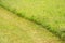 Diagonal line in grass