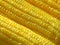 Diagonal Lined Up Vibrant Yellow Boiled Sweet Corns, for Background and Banner