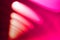 Diagonal pink office lamps bokeh background