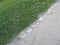 Diagonal row of boundary stones separates a meadow from a path.