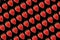 Diagonal rows of strawberries isolated on a black background