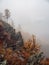 Diagonal stony steep slope and forest in dense fog. Stone hillside with larches trees in morning in thick low clouds. Mountainside