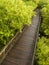 Diagonal wooden pathway