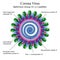 Diagram of Corona virus particle structure