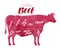 Diagram cutting cow meat. Butcher shop, bull, beef vector illustration