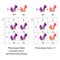 Diagram of dominance of peas flowers. Phenotype ratio