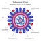 Diagram of Influenza virus particle structure