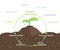 Diagram of Nutrients in Organic Fertilizers