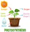 Diagram of Photosynthesis for biology and life science education