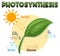 Diagram of Photosynthesis for biology and life science education