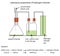 Diagram of preparation of hydrogen chloride gas