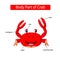 Diagram showing body part of crab